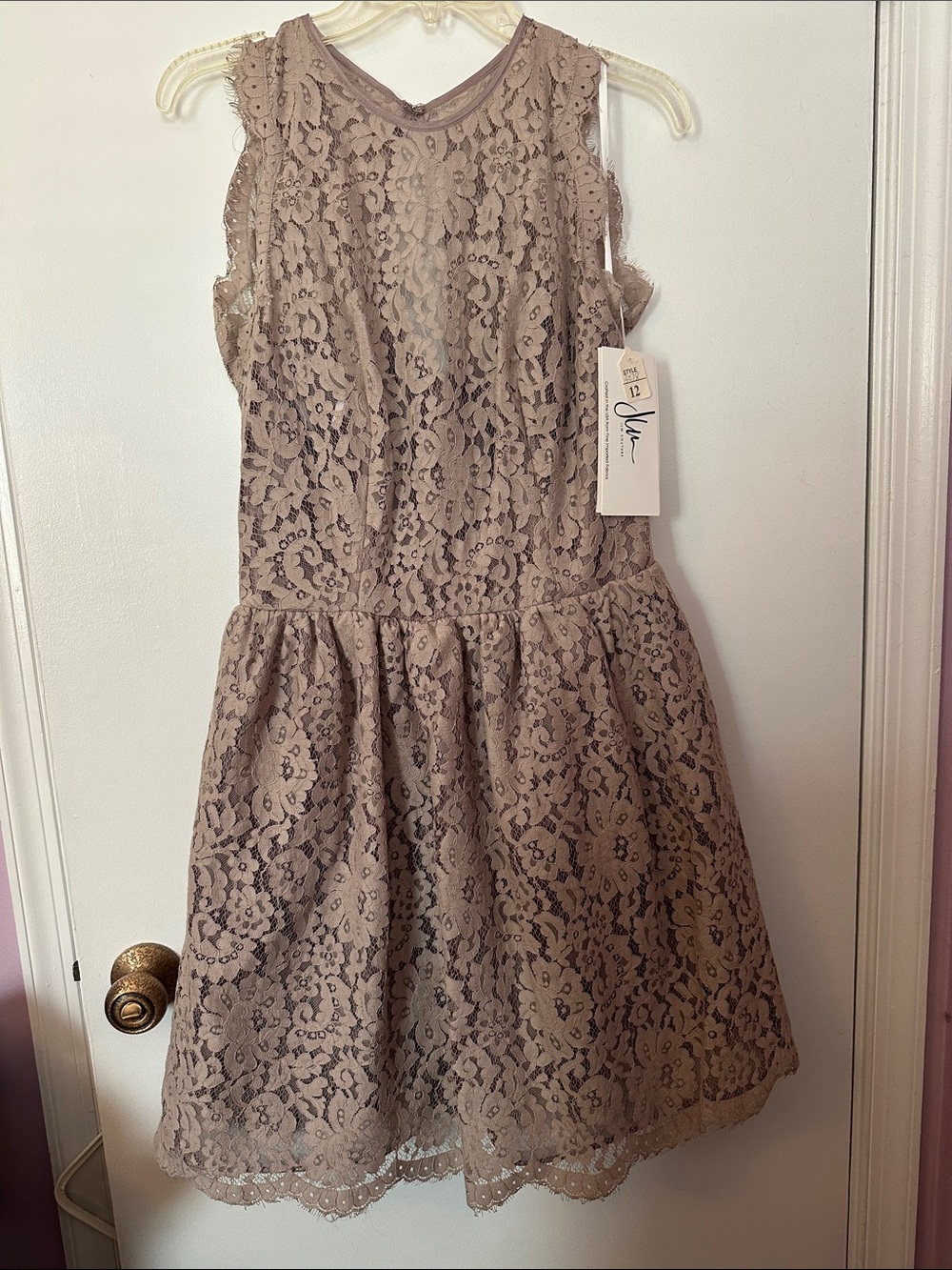 Noir by Lazaro Lace Fit-and-Flare Dress in Taupe